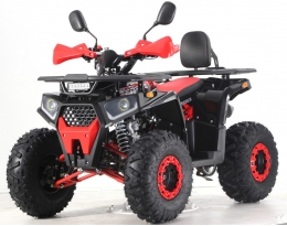 Квадроцикл Forte ATV125G Красный