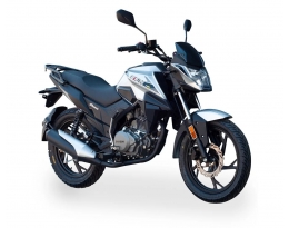 Мотоцикл SHINERAY DS200 (Серый)