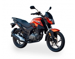 Мотоцикл SHINERAY DS200 (Оранжевый)