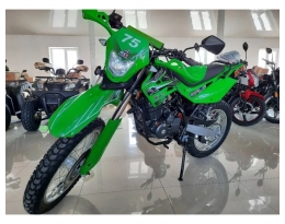 Мотоцикл SHINERAY XY200GY-11B LIGHT ENDURO (Зеленый)