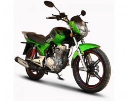 Мотоцикл SKYBIKE VOIN 200 (Зеленый)