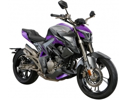 Мотоцикл ZONTES ZT310-R1SINGLE SWING ARM (NATIONAL IV) фиолетовый